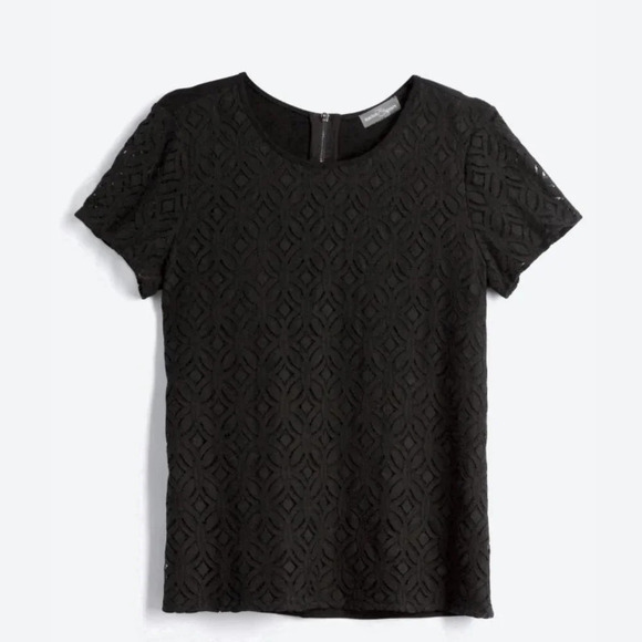 Black Market & Spruce Short Sleeve Lace Top (Small) - Picture 1 of 5